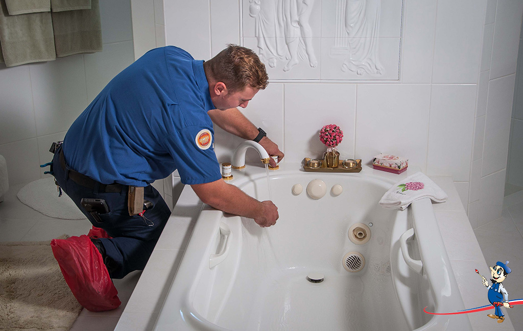 shower, bathtub, sink drain stoppages