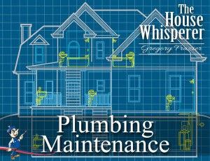 Plumbing Maintenance