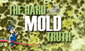 The Hard Mold Truth