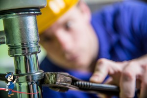 plumbing contractors