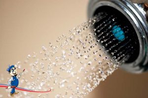 Plumbing company
