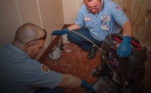 drain cleaning