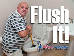 clogged toilet