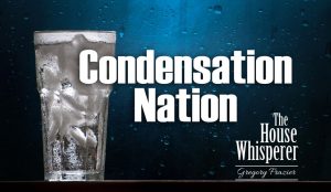 condensation nation