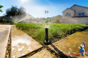 lawn sprinklers