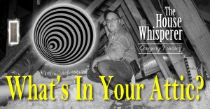 whats in your attic