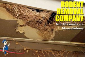 rodent removal company