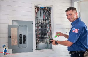 whole house surge protector