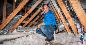 attic insulation