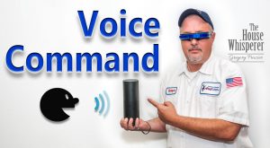 Voice Command