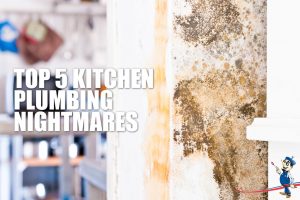 kitchen plumbing