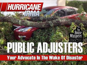 PUBLIC ADJUSTERS