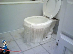overflowing toilet