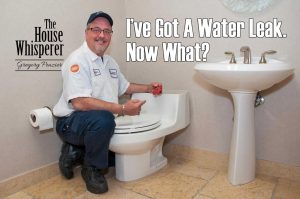 water-leak