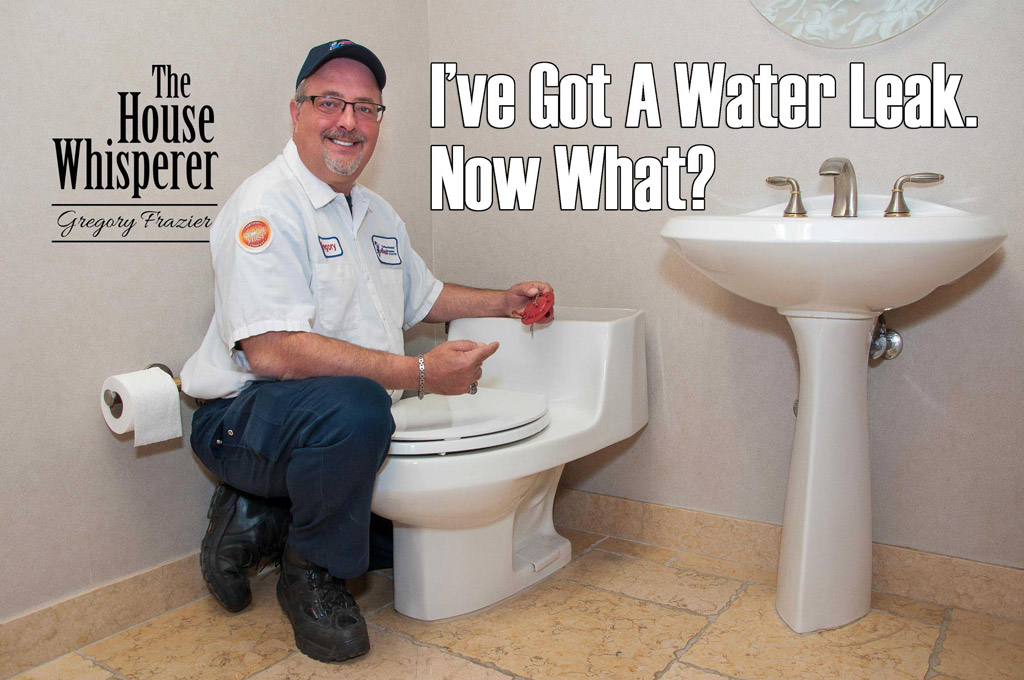 water-leak