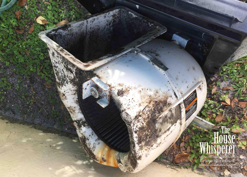 moldy blower motor