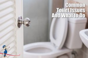 toilet issues