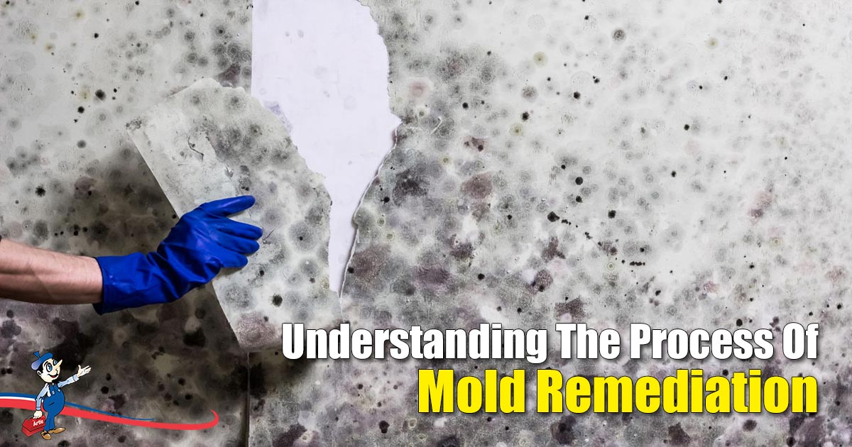 Grasp The Essence And Necessity Of Mold Remediation