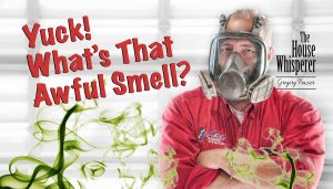whats that smell