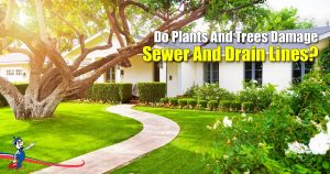 Sewer And Drain Lines