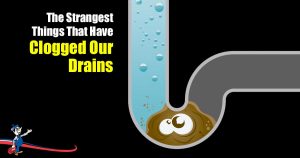 Clogged Our Drains
