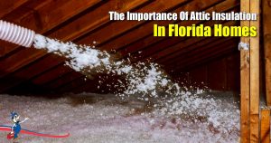Attic Insulation