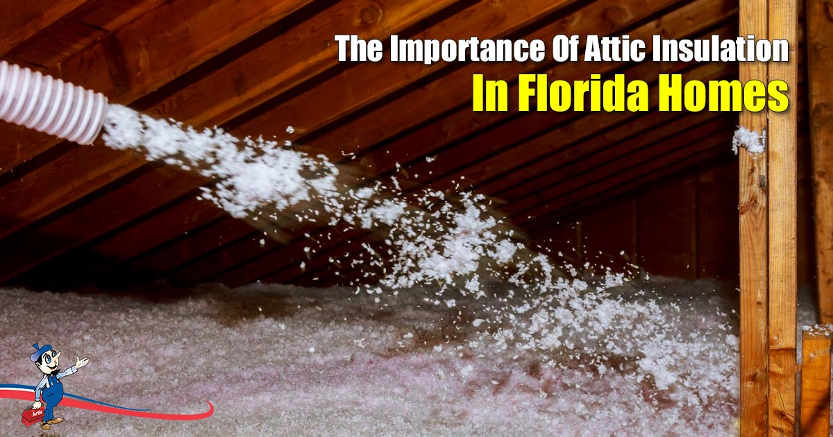 Attic Insulation