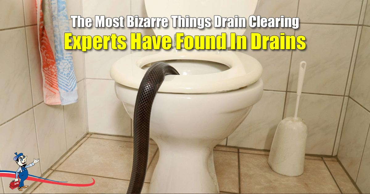 Drain Clearing Experts