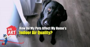 Indoor Air Quality