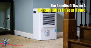 Dehumidifier In Your Home