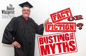 busting myths