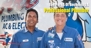 professional plumber