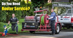 rooter service