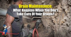 Drain Maintenance