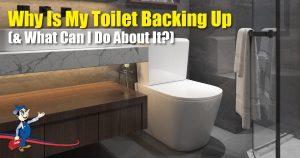 toilet backing up