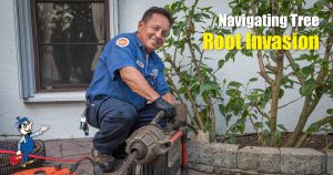 tree root invasion