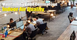 commercial indoor air quality