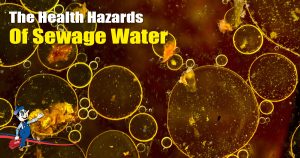 sewage water
