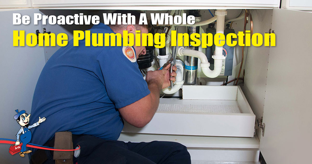 Whole Home Plumbing Inspection
