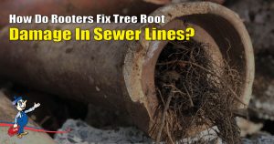 damage in sewer lines
