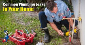 plumbing leaks