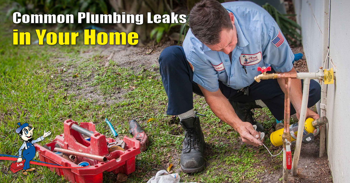 plumbing leaks
