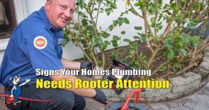 rooter plumbing