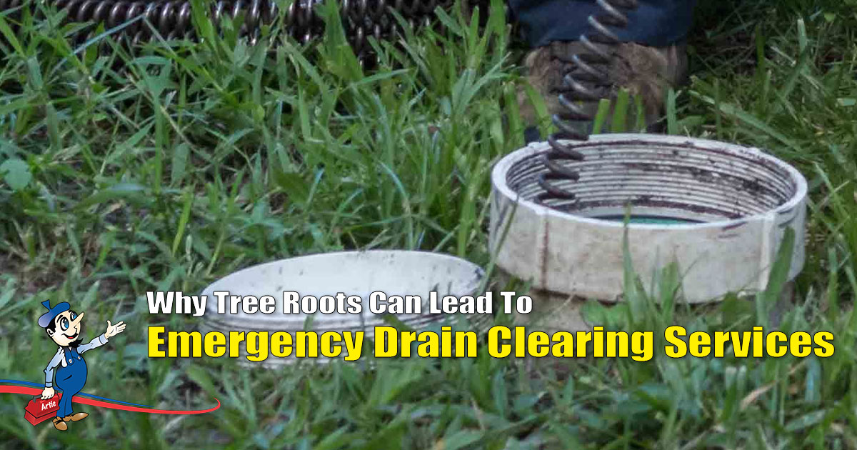 emergency drain clearing