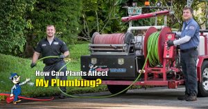 plumbing